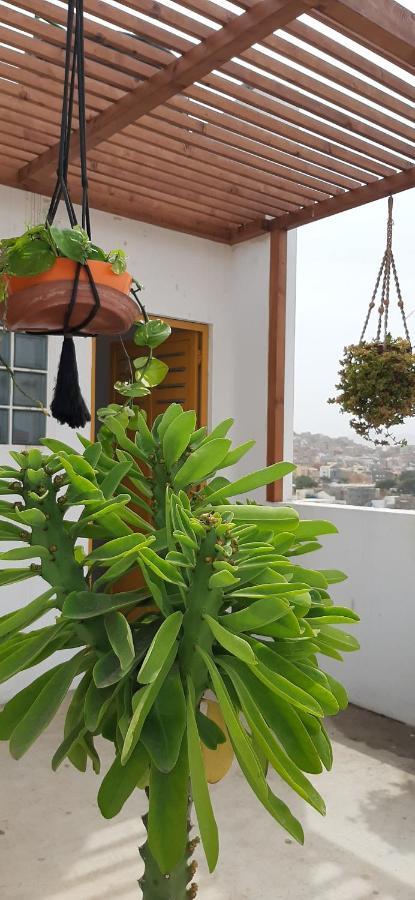 Apartamento Augusta Amwilla Guesthouse ミンデロ エクステリア 写真